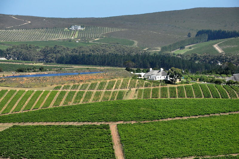 Melanie Heinrich Travel images Capetown -Shark diving Africa